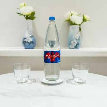 公寓 Vodickova Luxury 布拉格